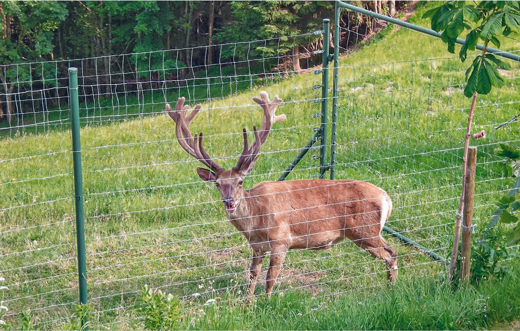 Feriehus - Deutsch-Griffen , Østerrike - AKA139 17