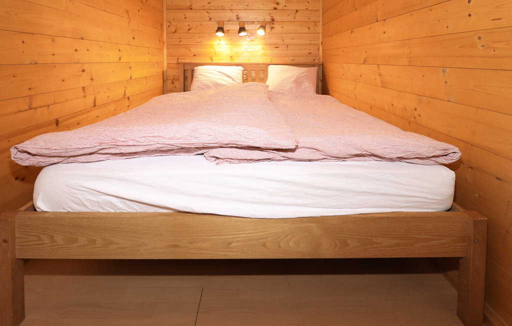 Feriehus - Sagerberg , Østerrike - AKA219 4