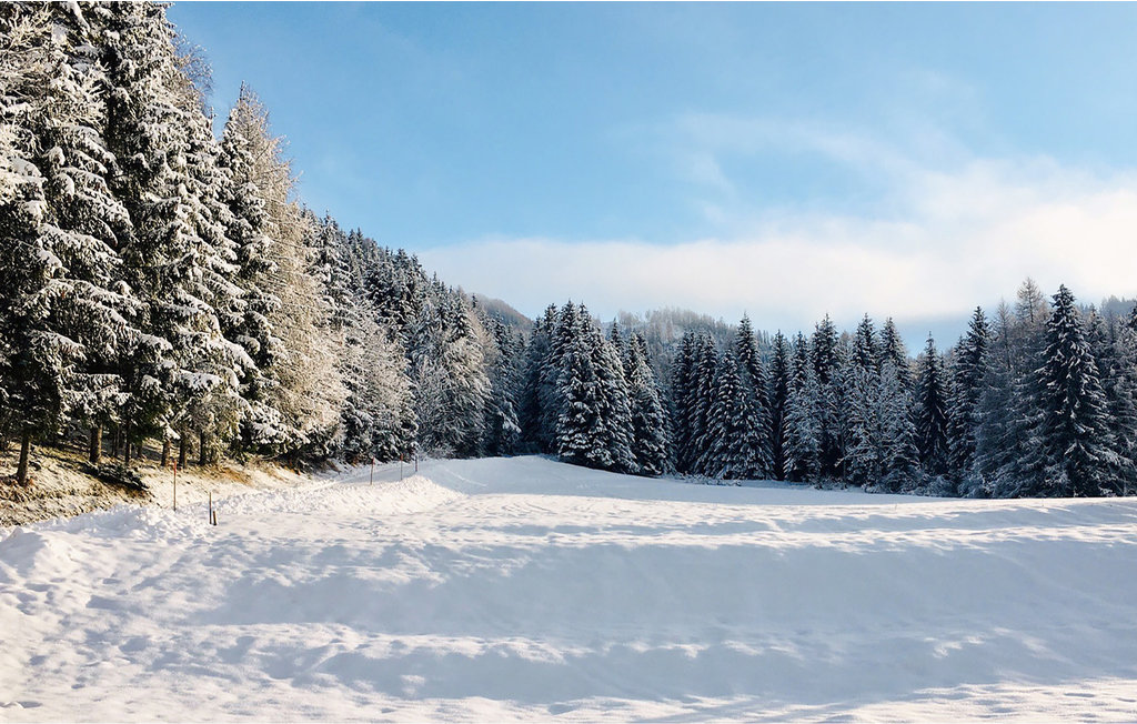 Feriehus - Sagerberg , Østerrike - AKA219 11