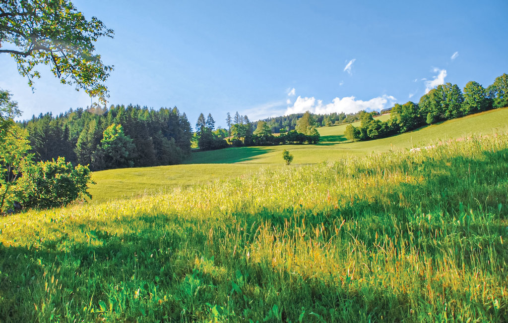 Feriehus - Bad St. Leonhard , Østerrike - AKA076 9
