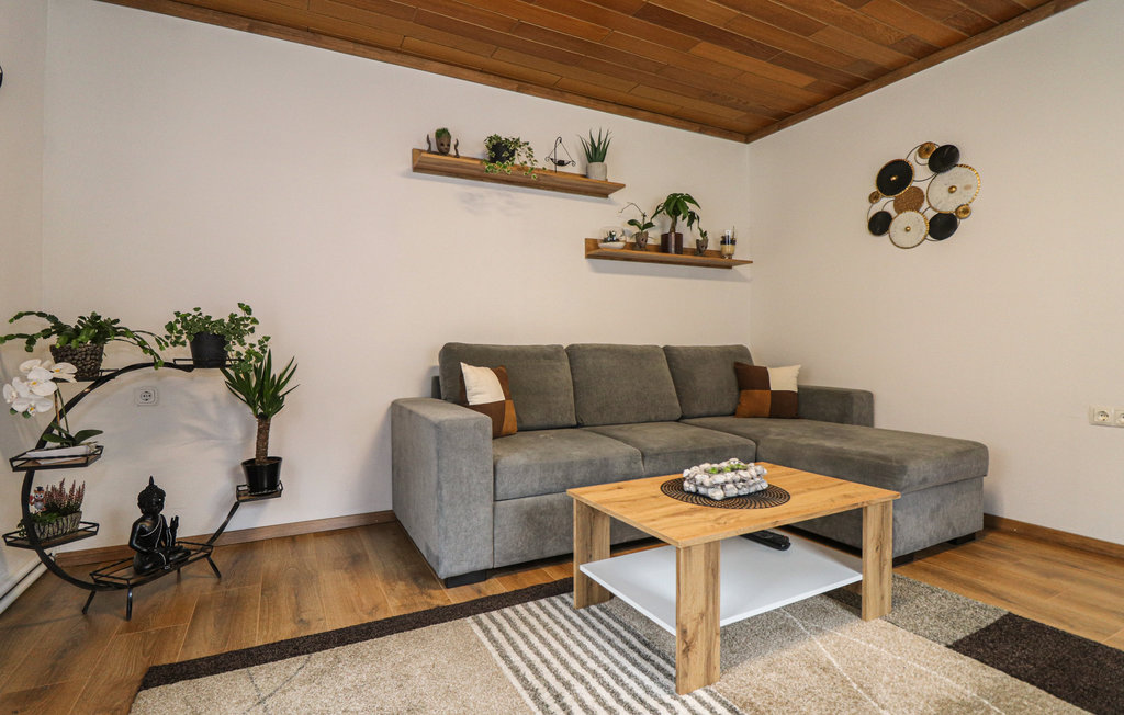 Ferieleilighet - Loich , Østerrike - ANO134 12