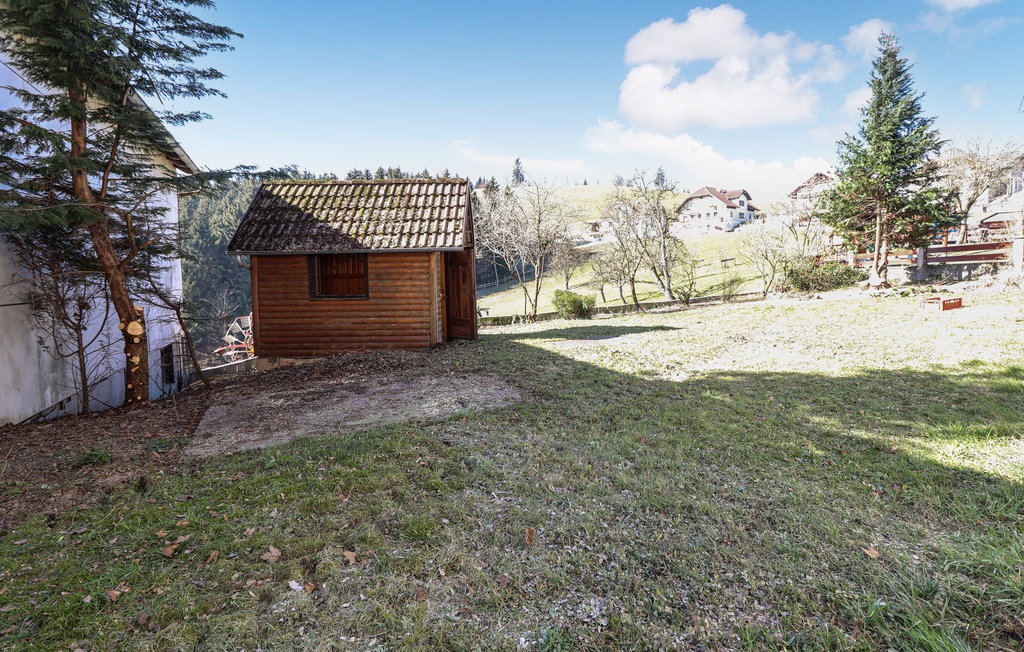 Feriehus - St. Leonhard am Walde , Østerrike - ANO130 6