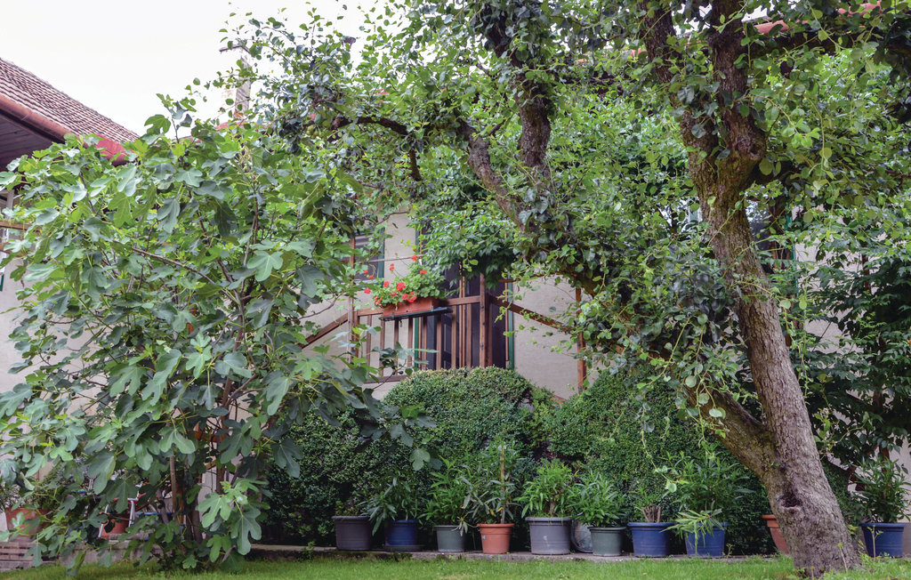 Ferieleilighet - Untermallebarn/bei Wien , Østerrike - ANO103 12