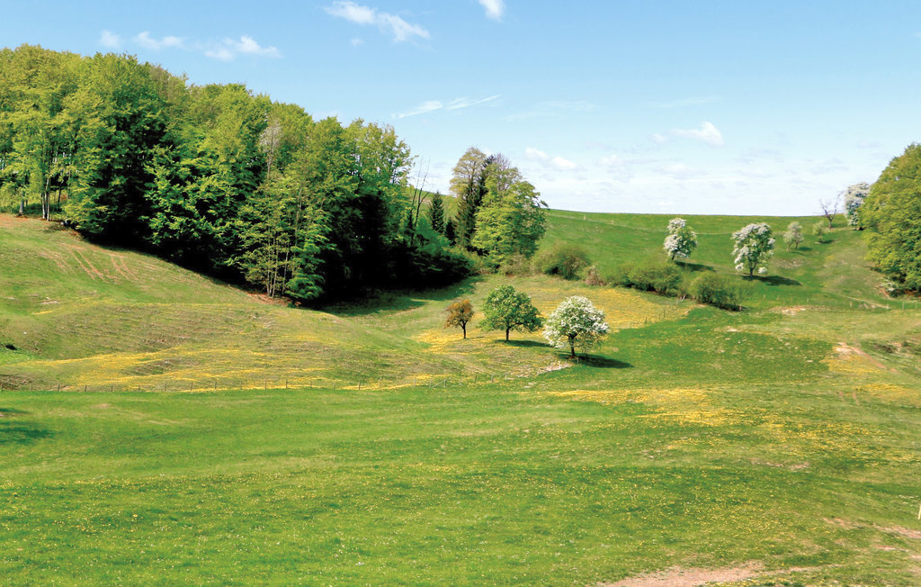 Ferieleilighet - Mostviertel , Østerrike - ANO113 5