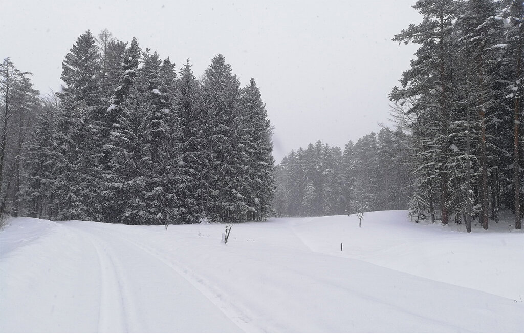 Feriehus - Reichenau an der Rax , Østerrike - ANO338 23
