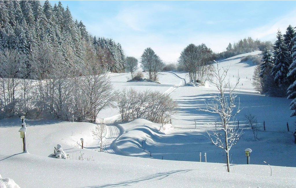 Feriehus - Hirschalm , Østerrike - AOE114 18