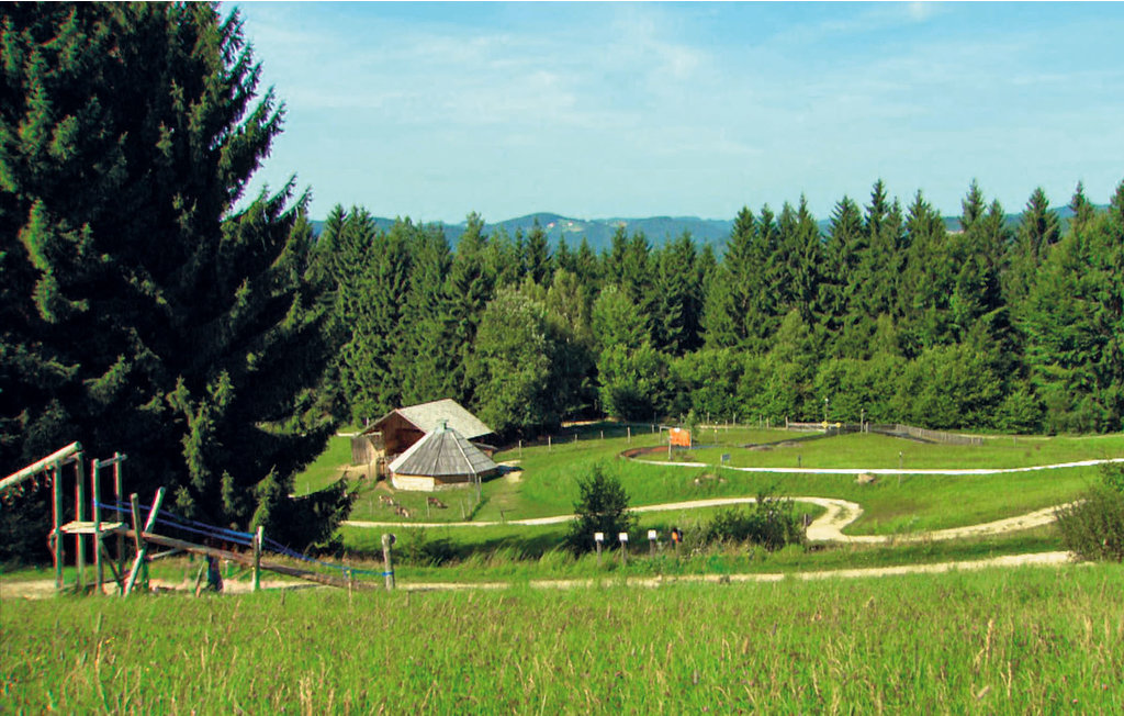 Semesterhus - Hirschalm , Österrike - AOE115 16