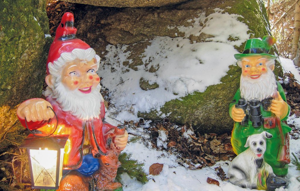 Semesterhus - Hirschalm , Österrike - AOE115 17