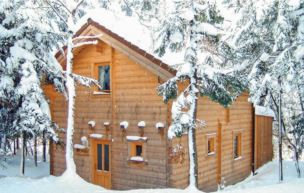 Semesterhus - Hirschalm , Österrike - AOE115 4