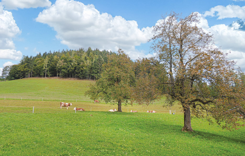 Feriehus - Wagrain , Østerrike - ASA006 8