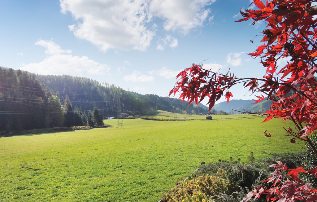 Ferieleilighet - Flachau , Østerrike - ASA783 10