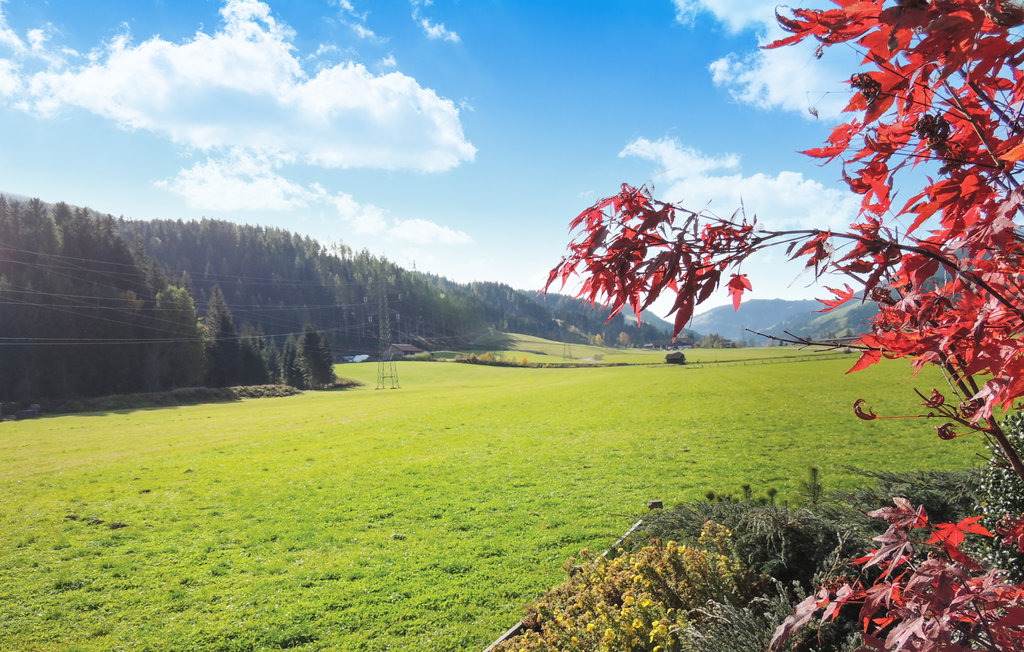 Ferieleilighet - Flachau , Østerrike - ASA784 10