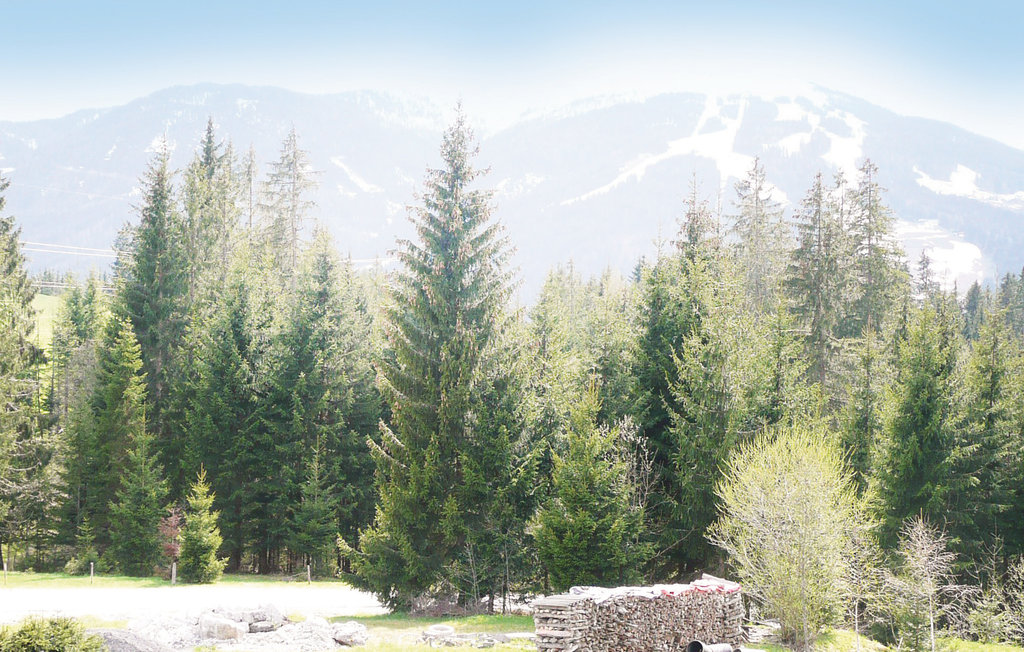 Lejlighed - Flachau , Østrig - ASA836 15