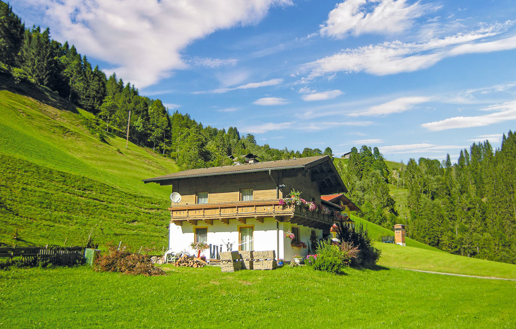 Ferieleilighet - Mühlbach , Østerrike - ASA916 1