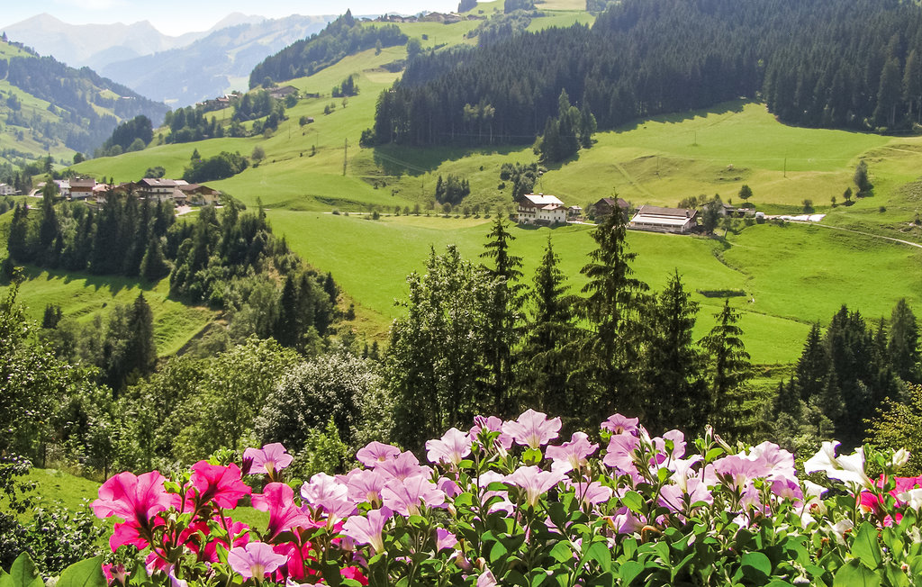 Ferienwohnung - Grossarl , Österreich - ASA906 21