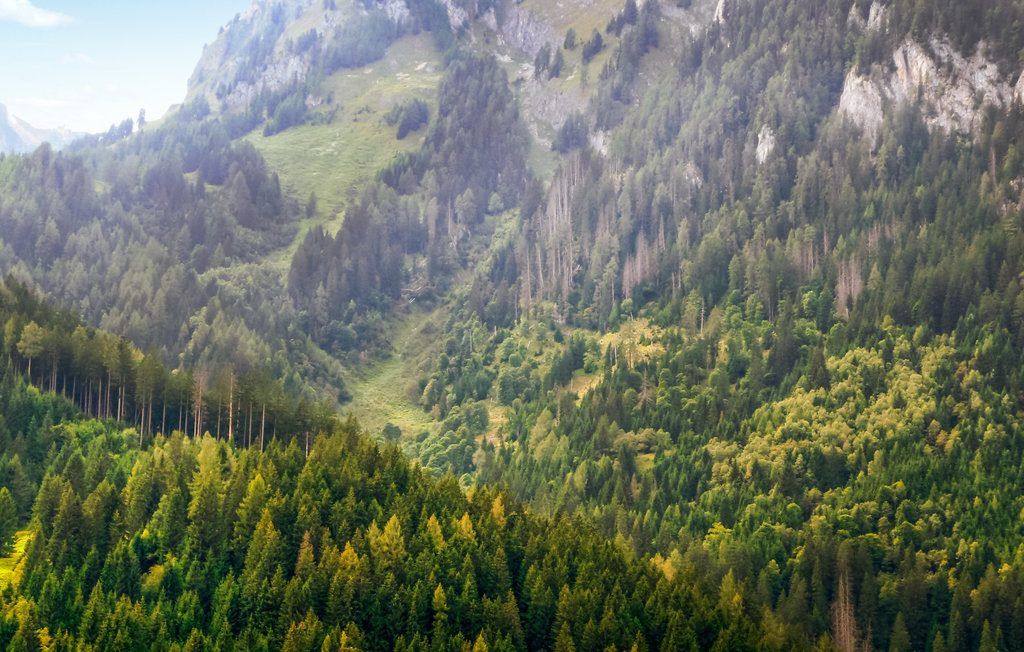 Ferienwohnung - Grossarl , Österreich - ASA906 25