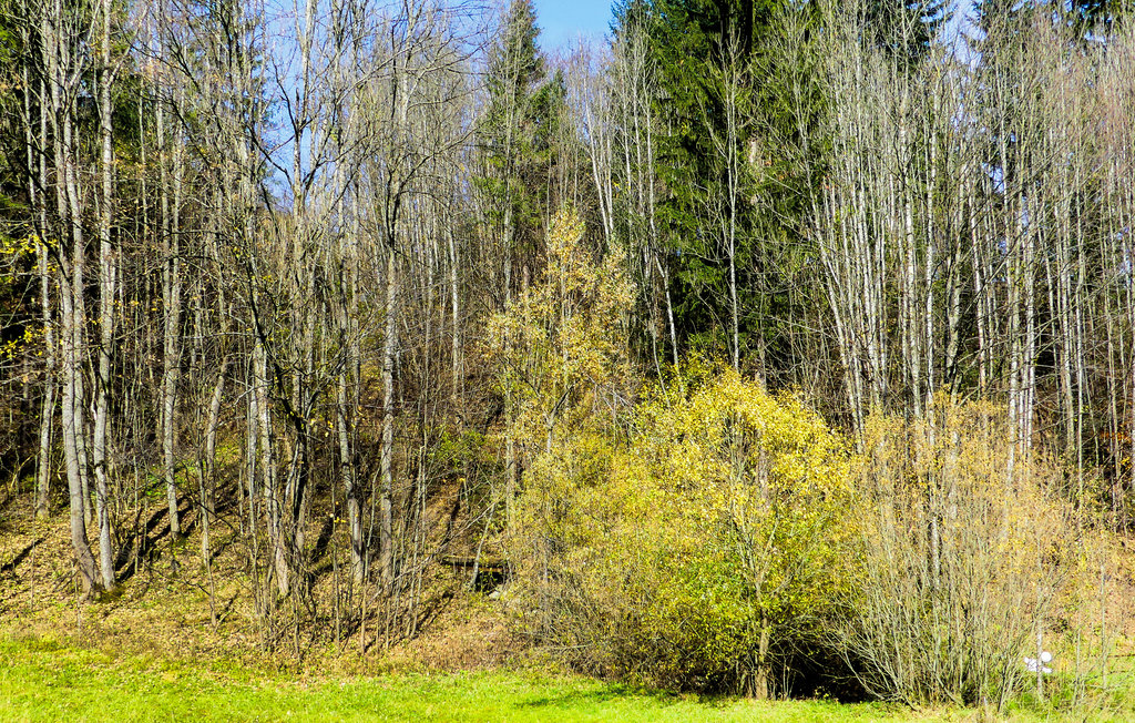 Lejlighed - Annaberg/Lammertal , Østrig - ASA996 8