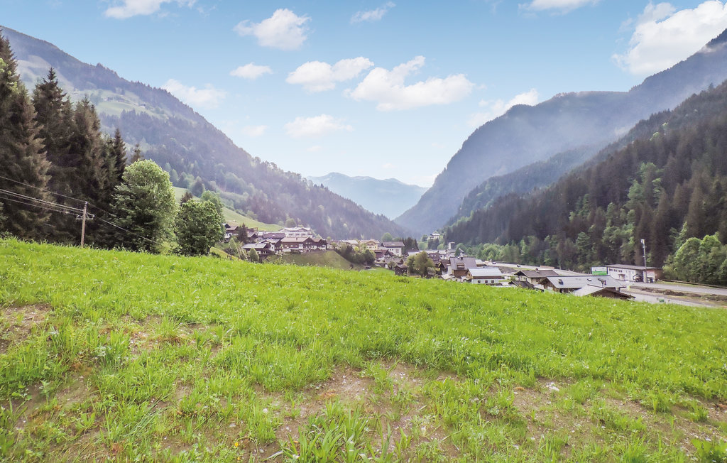 Ferienwohnung - Viehhofen , Österreich - ASA451 11