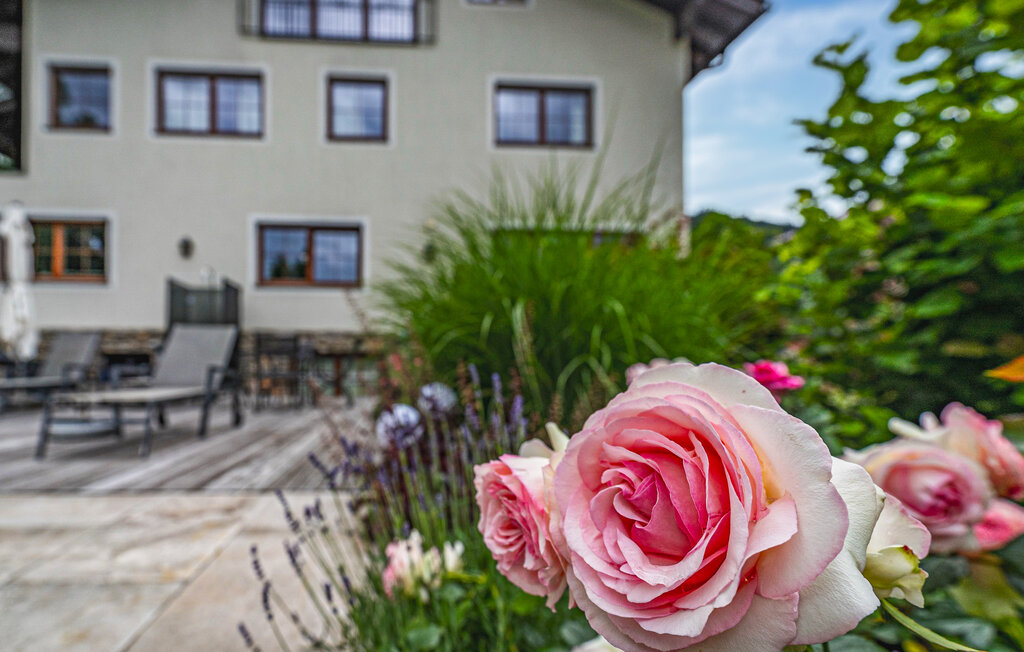 Ferieleilighet - Wagrain , Østerrike - ASA936 16