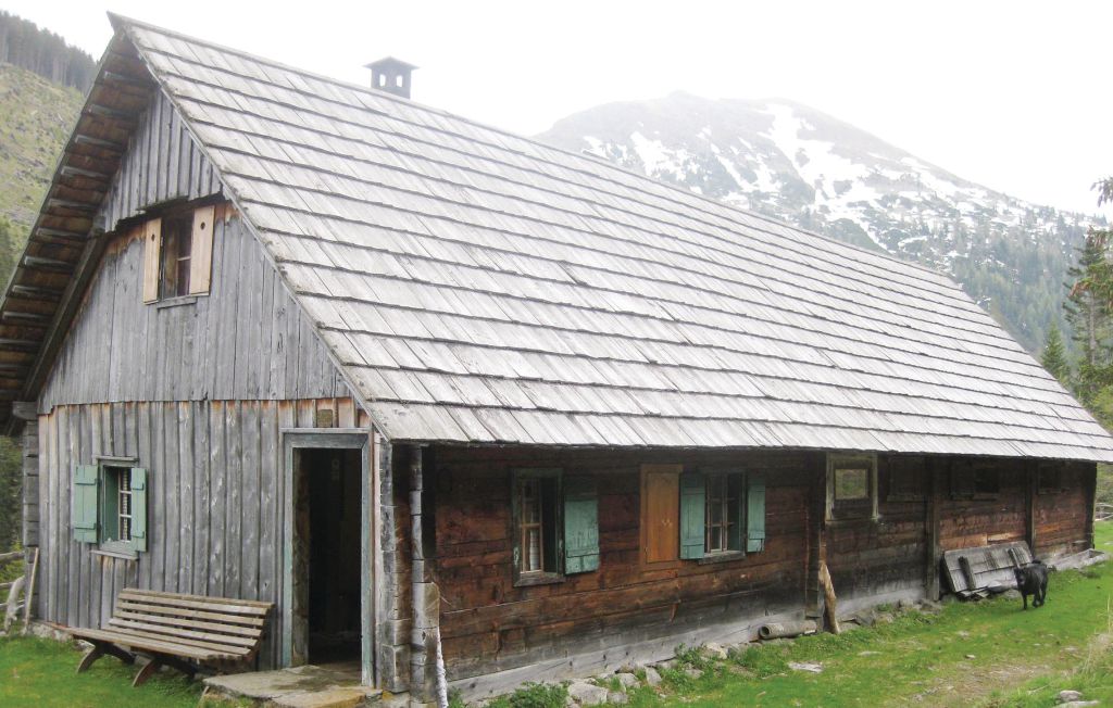 Bild 5 Bild 5