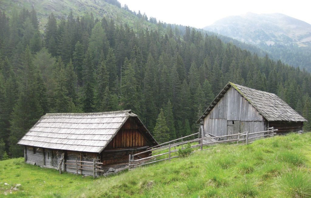 Bild 11 Bild 11