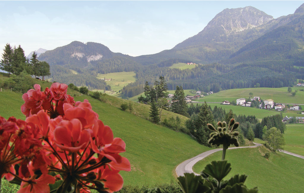 Bild 3 Bild 3