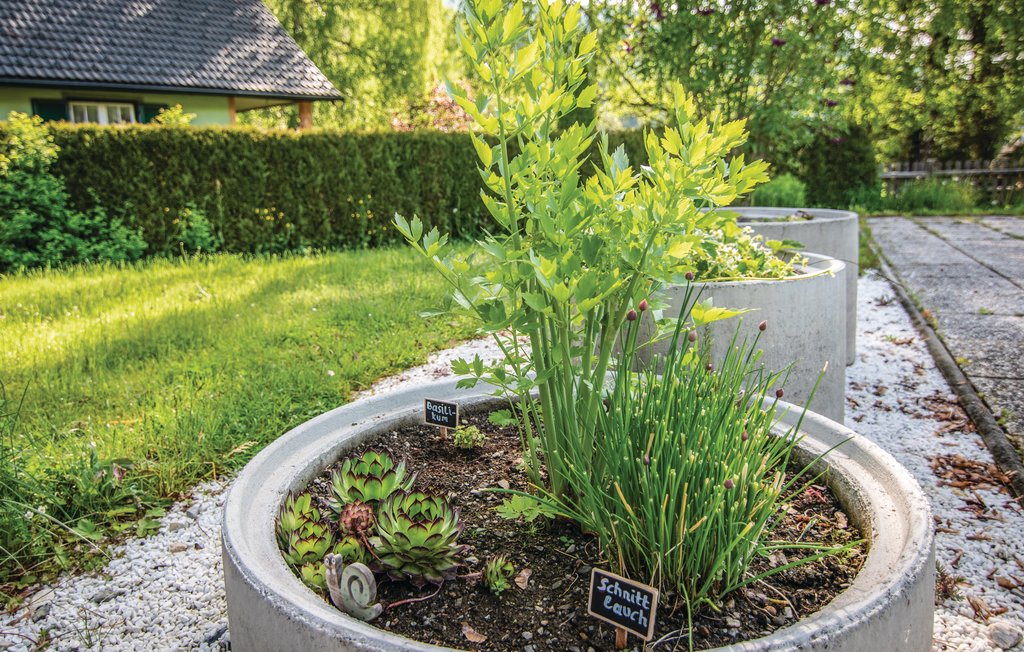 Feriehus - St. Peter am Kammersberg , Østerrike - AST244 11