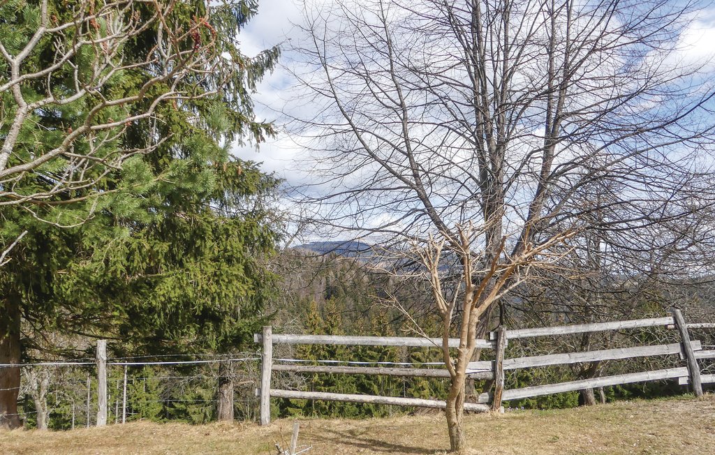 Feriehus - Deutschlandsberg , Østerrike - AST250 11