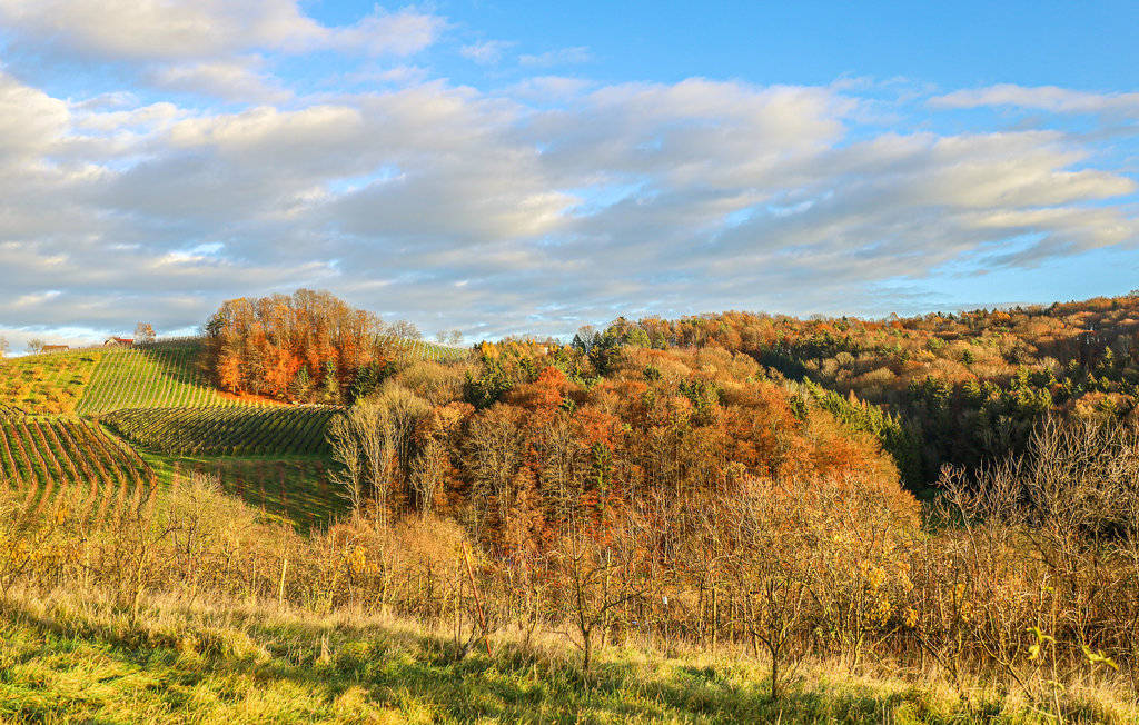 Feriehus - Feldbach , Østerrike - AST275 13