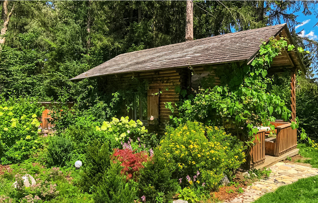 Feriehus - Sallaberg , Østerrike - AST286 13
