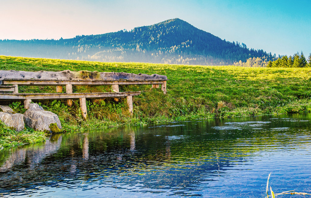 Feriehuse - St. Lambrecht , Østrig - AST058 23