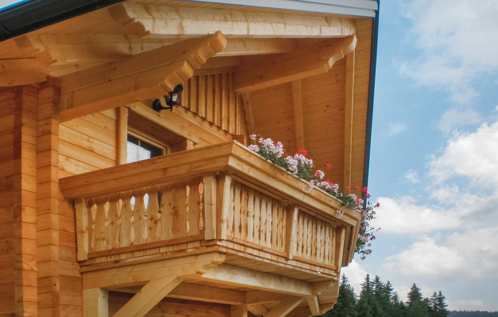 Feriehus - Schönberg im Lachtal , Østerrike - AST116 9