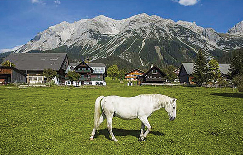 Ferieleilighet - Ramsau/Dachstein , Østerrike - AST146 37