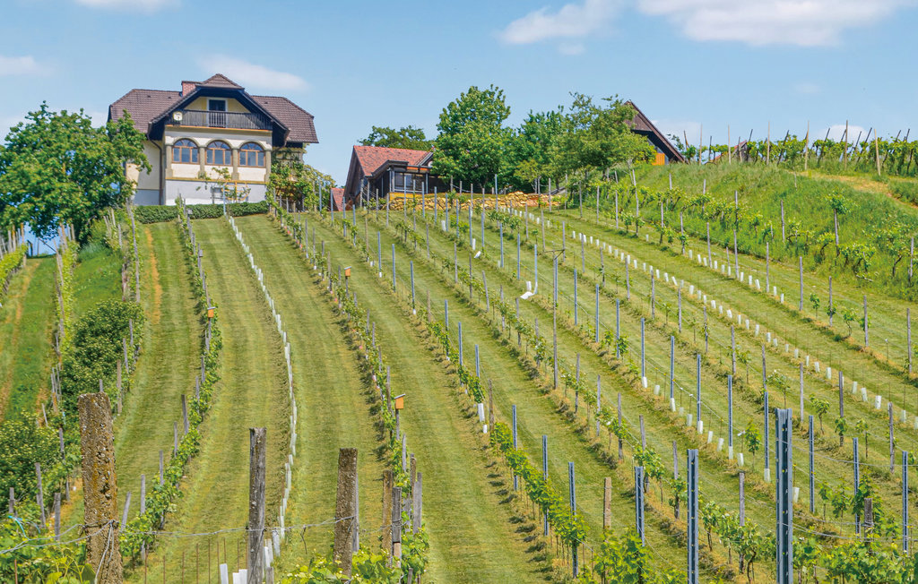 Feriehus - Südoststeiermark , Østerrike - AST241 9