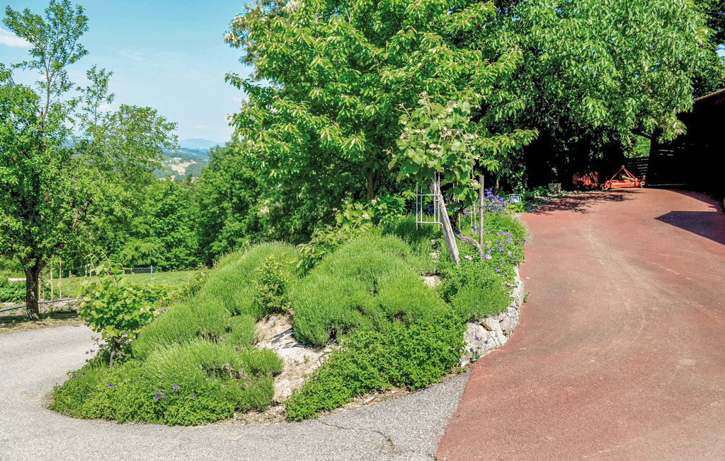 Feriehus - Südoststeiermark , Østerrike - AST241 16