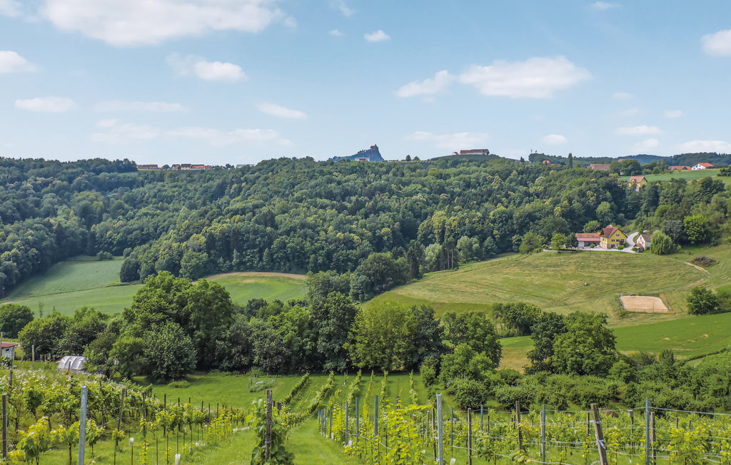 Feriehus - Südoststeiermark , Østerrike - AST241 28