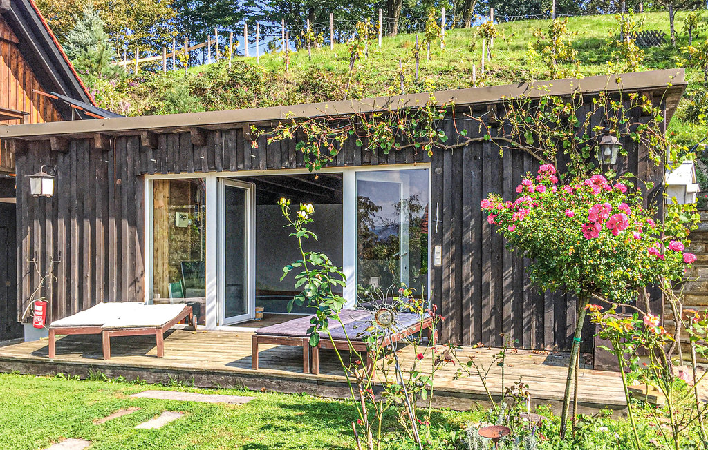 Feriehus - Grossklein , Østerrike - AST242 7