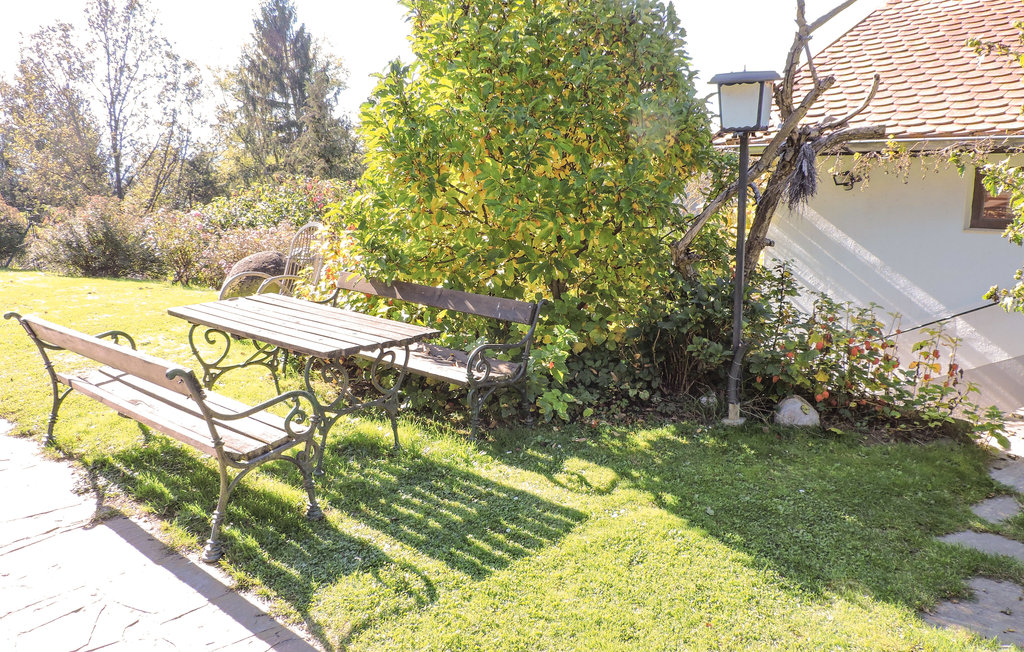 Feriehus - Grossklein , Østerrike - AST243 8