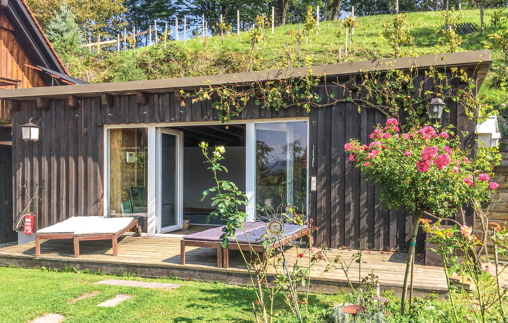 Feriehus - Grossklein , Østerrike - AST243 7