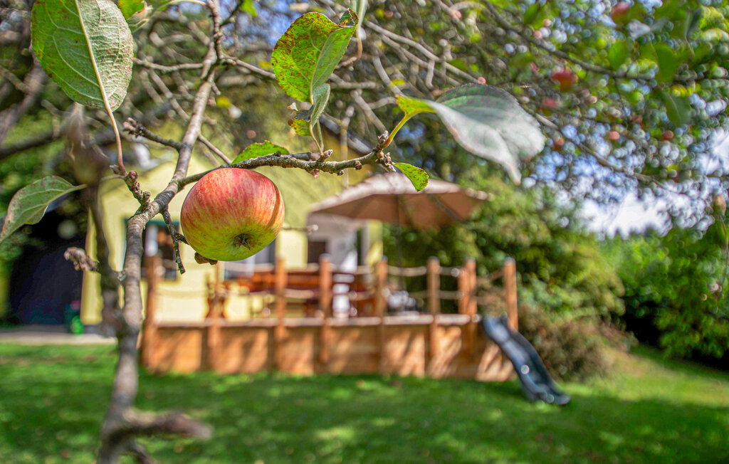 Feriehus - Friedberg , Østerrike - AST287 13