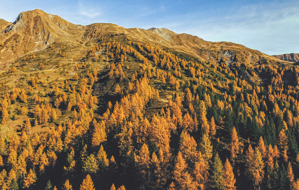 Ferieleilighet - Navis , Østerrike - ATA142 8