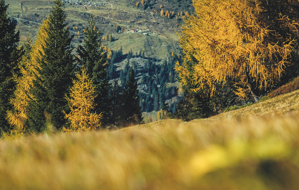 Ferieleilighet - Navis , Østerrike - ATA142 19