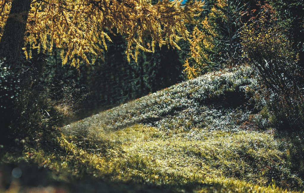 Ferieleilighet - Navis , Østerrike - ATA143 17