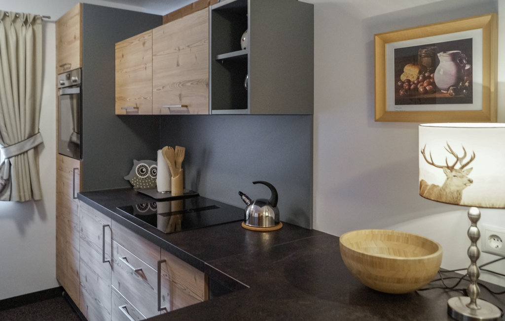 Ferieleilighet - Navis , Østerrike - ATA142 4