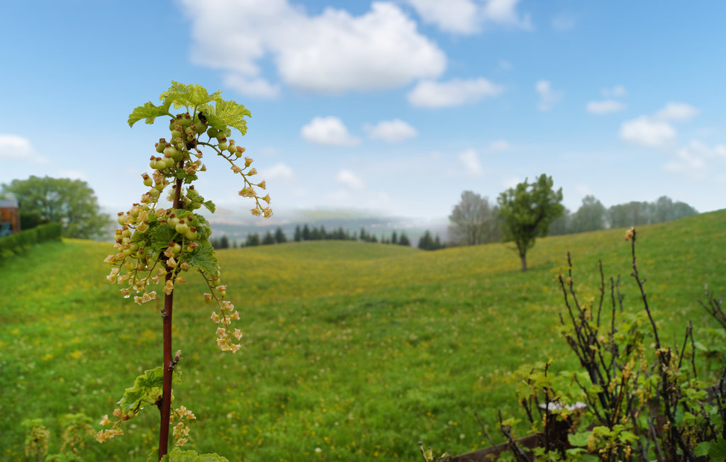 Feriehus - Pill , Østerrike - ATA314 14