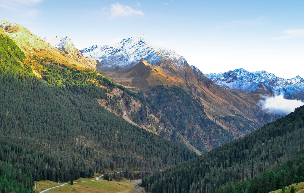 Feriehuse - Sankt Sigmund , Østrig - ATA327 32