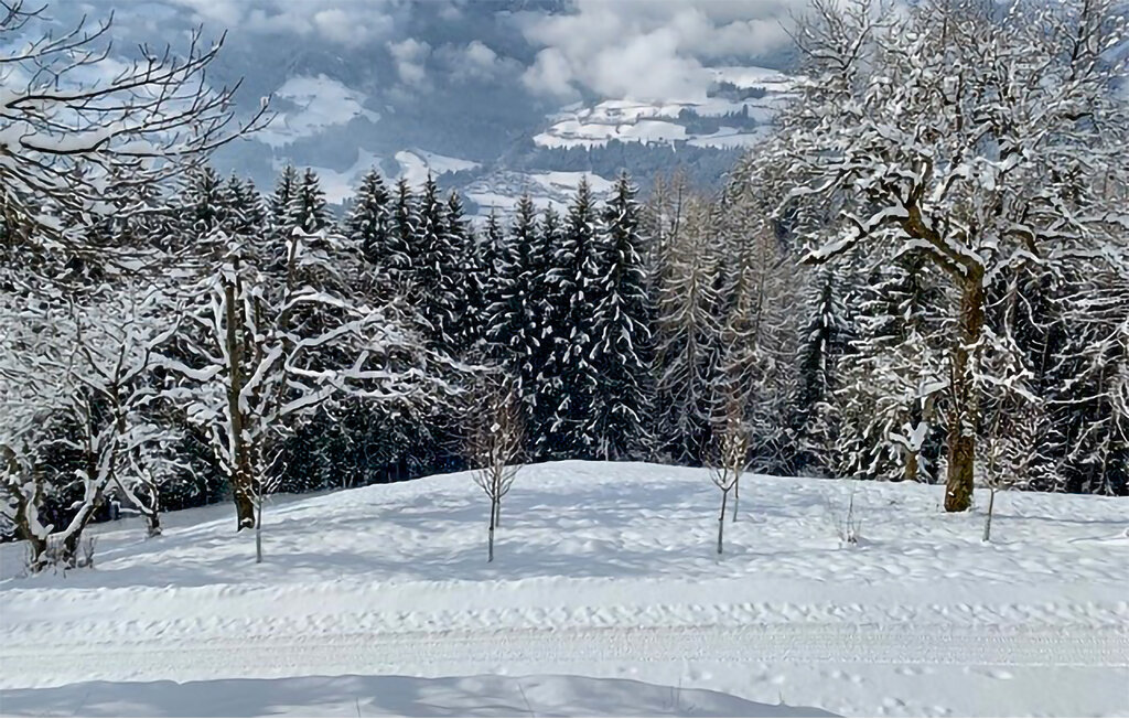 Feriehuse - Stummerberg , Østrig - ATA002 8