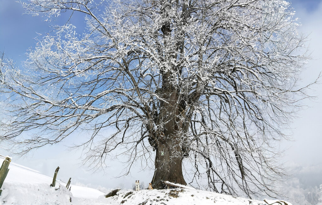 Ferieleilighet - Niederndorf , Østerrike - ATA300 18