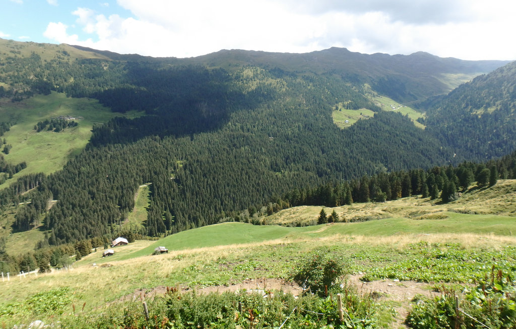 Bild 2 Bild 2