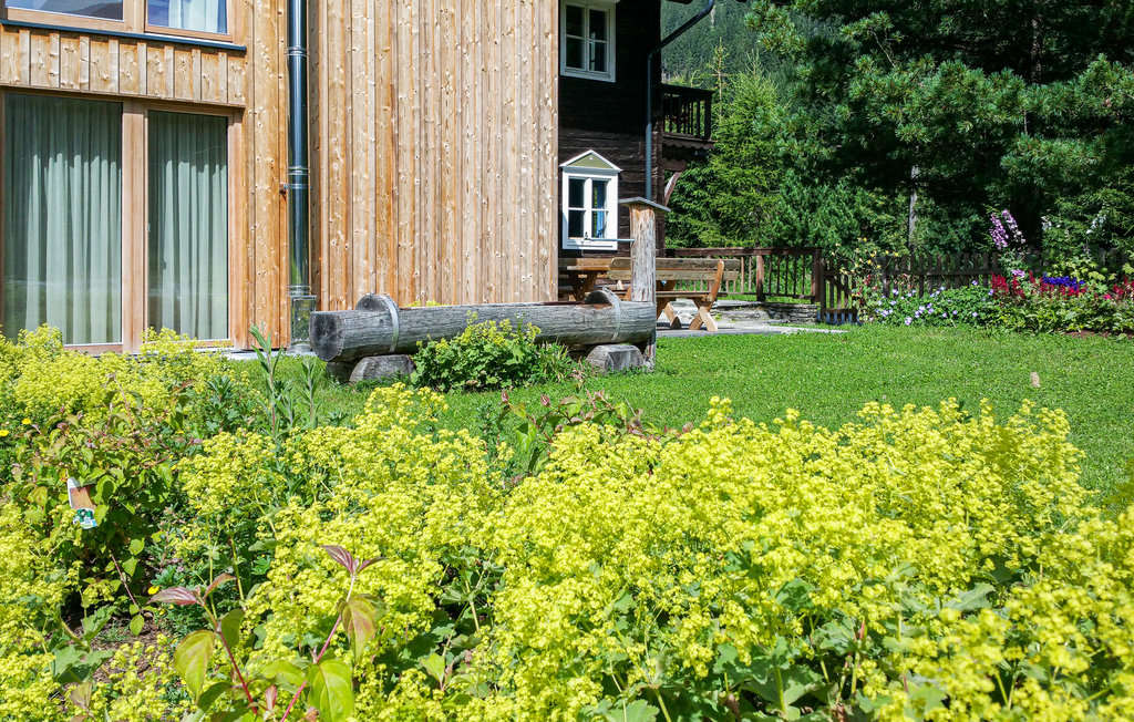 Feriehus - Sankt Veit/Defereggental , Østerrike - ATI263 8